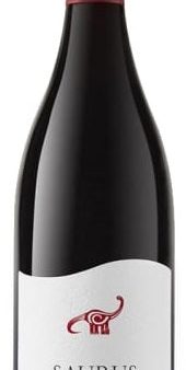 Bodega Familia Schroeder Saurus Pinot Noir 2020 Cheap