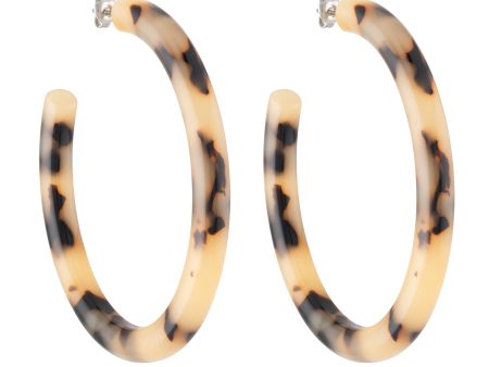 Bold Hoops Supply