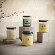 Balsam Forest 6.5oz Jar Candle Fashion