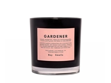 Boy Smells Votive Candle Online