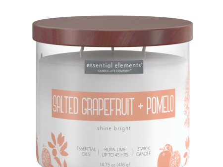 Salted Grapefruit & Pomelo 3-wick 14.75oz Jar Candle Online