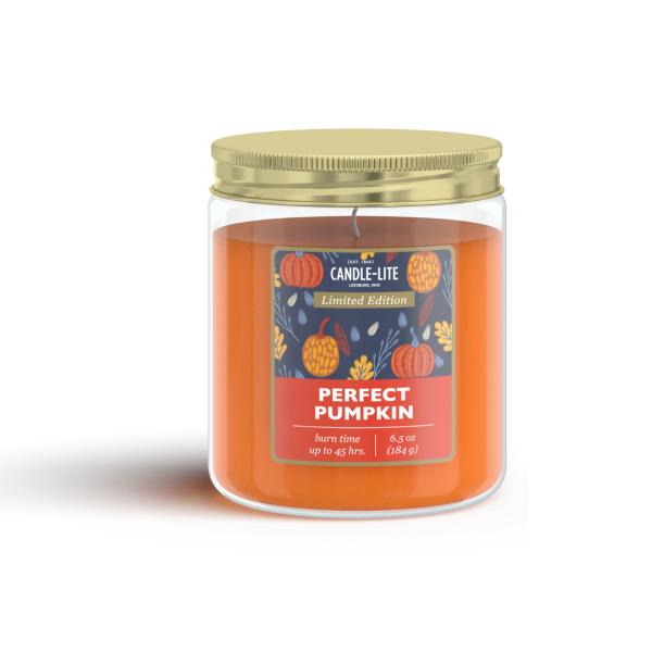 Perfect Pumpkin 6.5oz Jar Candle Cheap