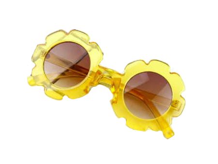 Daisy Kids  Sunglasses Cheap