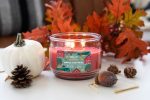 Apple Festival 3-wick 10oz Jar Candle Online