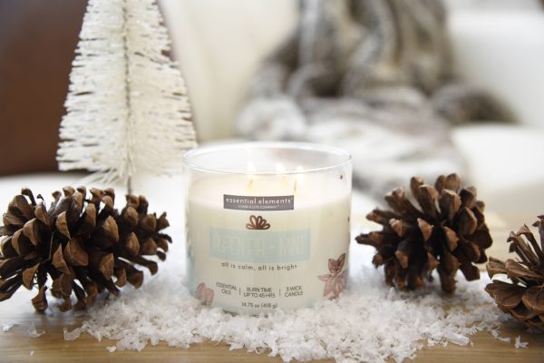 Aspen Fir + Mint 3-wick 14.75oz Jar Candle Online