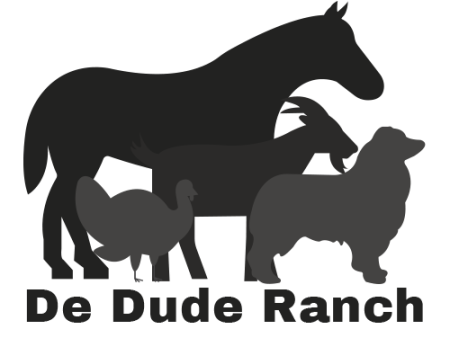 Dude Ranch Soaps Gift Card For Discount