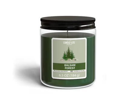 Balsam Forest 6.5oz Jar Candle Fashion