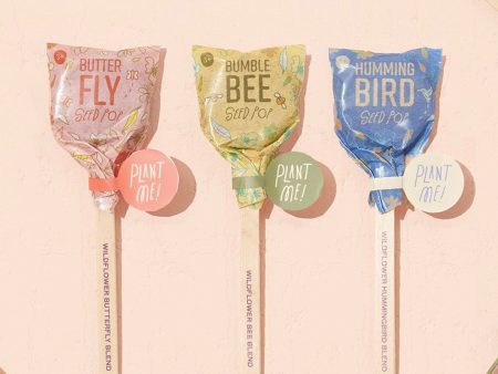 Seed Lollipop | Pollinator Discount