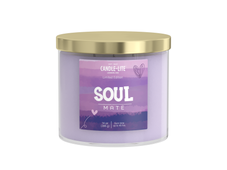 Soul Mate 3-wick 14oz Jar Candle For Discount