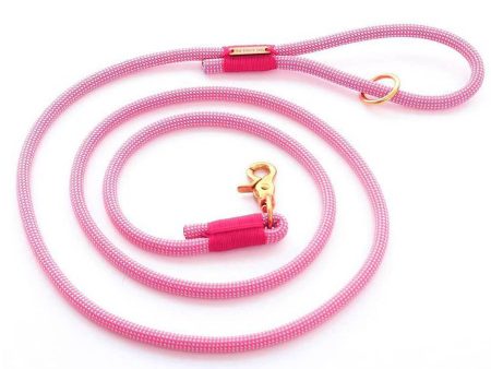 Rope Dog Leash Online now