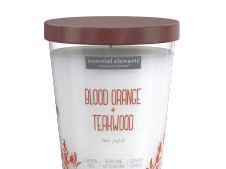 Blood Orange & Teakwood 9oz Jar Candle Online Hot Sale