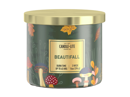 BeautiFALL 3-wick 14oz Jar Candle For Cheap