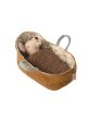 Baby Mouse in Carrycot Sale