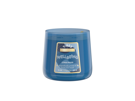 Wellbeing 2-wick 15oz Jar Candle Online now