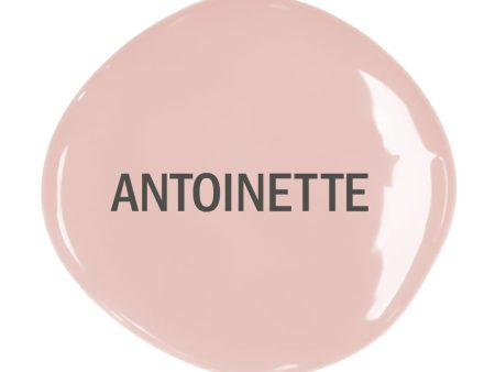 Antoinette Chalk Paint ™ For Sale