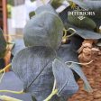 Eucalyptus 20” Hanging Bush Grey Green Online Sale