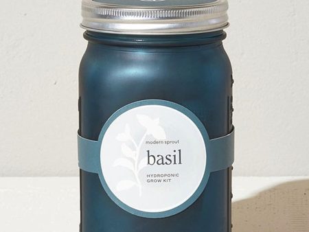 Basil Garden Jar Hot on Sale