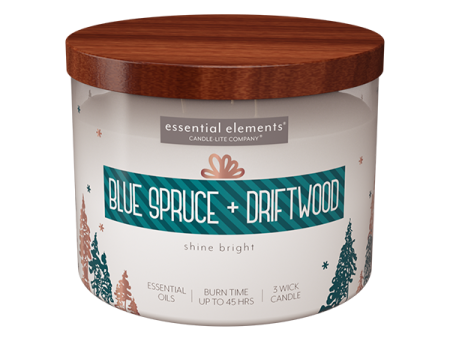 Blue Spruce + Driftwood 3-wick 14.75oz Jar Candle Cheap