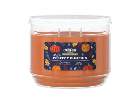 Perfect Pumpkin 10oz Jar Candle Online Sale