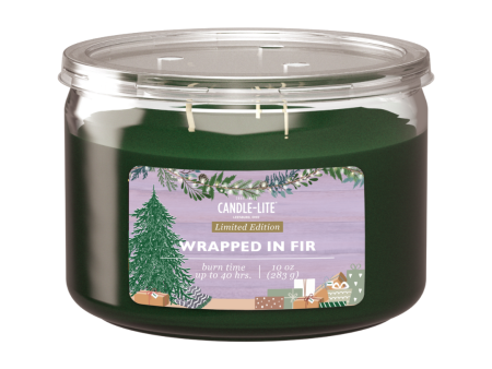 Wrapped in Fir 3-wick 10oz Jar Candle Online now