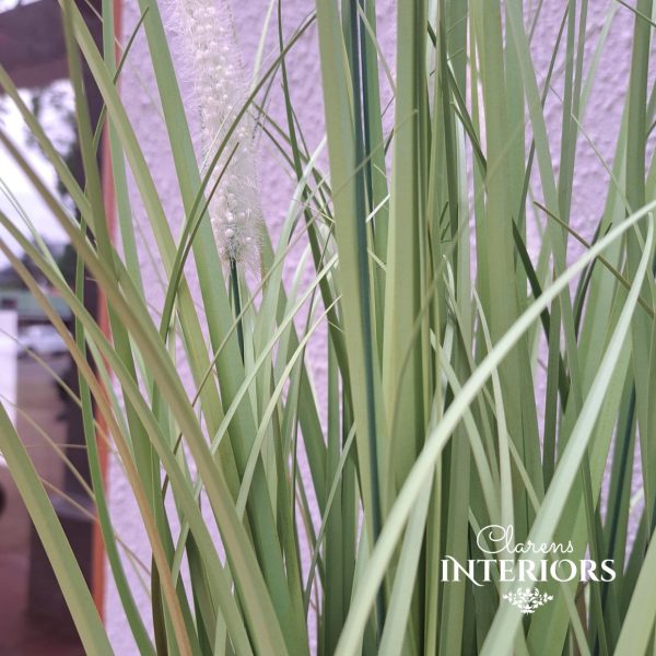 Grass 58cm in Pot Green Sale