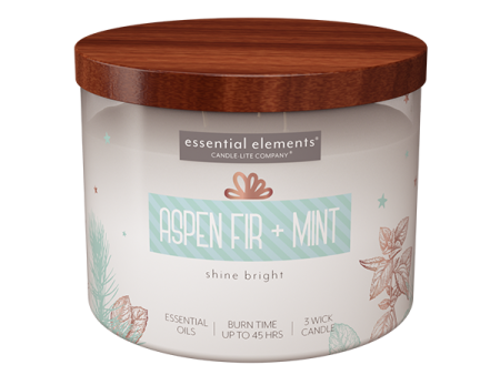 Aspen Fir + Mint 3-wick 14.75oz Jar Candle Online