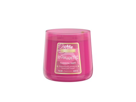 Romantic 2-wick 15oz Jar Candle Sale