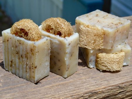 Cedar and Lavender Bar Soap For Cheap