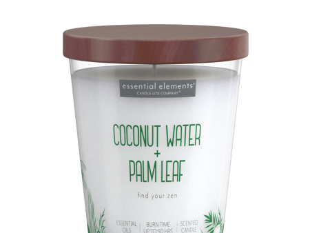 Coconut Water & Palm Leaf 9oz Jar Candle Sale