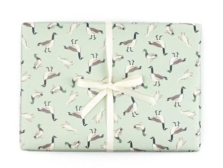 Duck Duck Goose Gift Wrap Roll Sale