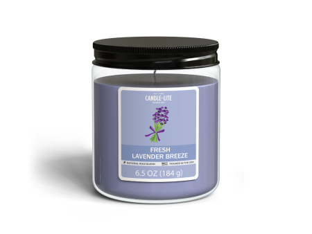 Fresh Lavender Breeze 6.5oz Jar Candle For Discount