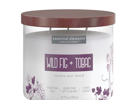 Wild Fig & Tobac 3-wick 14.75oz Jar Candle Online Sale