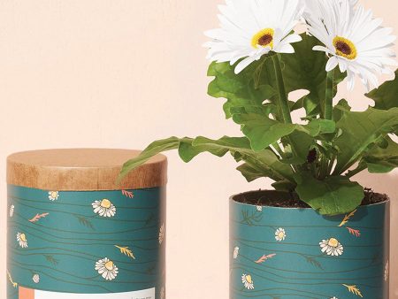 Waxed Planter | Thank You Daisies Hot on Sale