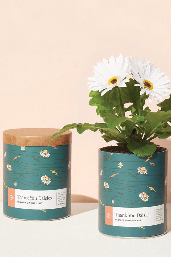 Waxed Planter | Thank You Daisies Hot on Sale