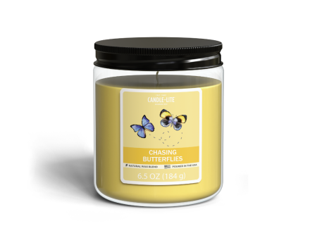 Chasing Butterflies 6.5oz Jar Candle Cheap