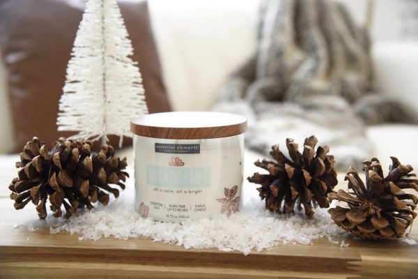 Aspen Fir + Mint 3-wick 14.75oz Jar Candle Online