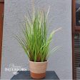 Grass 58cm in Pot Green Sale