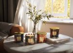 BeautiFALL 3-wick 14oz Jar Candle For Cheap