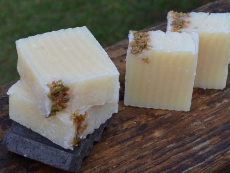 Oatmeal Lemongrass Dog Shampoo Bar Online Sale