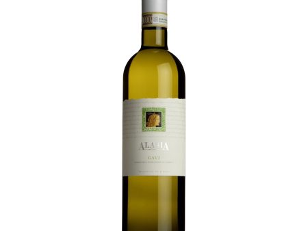 Alasia Gavi on Sale