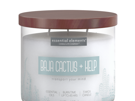 Baja Cactus & Kelp 3-wick 14.75oz Jar Candle Online