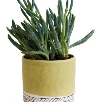 Small Herringbone Round Planter Supply