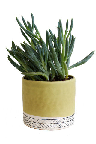 Small Herringbone Round Planter Supply