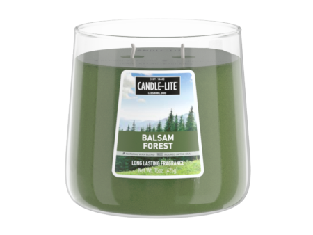 Balsam Forest 15oz 2-wick Jar Candle For Discount