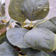 Eucalyptus 20” Hanging Bush Grey Green Online Sale