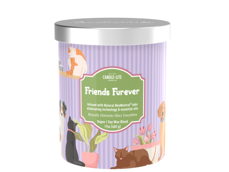 Friends Furever 2-wick 17oz Jar Candle Hot on Sale