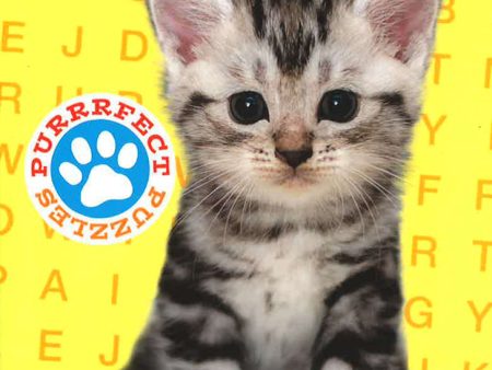 Purrfect Puzzles Wordsearch Online now